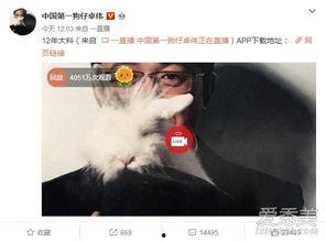 济南出轨爆料事件最新,真相与争议交织的婚姻漩涡  第3张